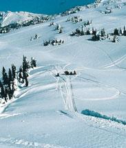 126 Abfahrten). Das Sun Peaks Resort ist zusammen mit Lake Louise das zweitgrößte Skigebiet Kanadas.