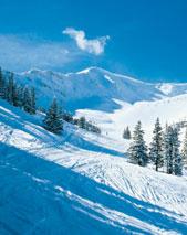 Das schneesichere Terrain ist das höchstgelegendste Skigebiet Kanadas und bietet Champagne Powder bis zum Abwinken.