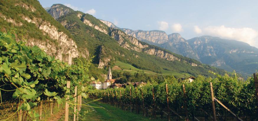 6 Im Namen der Natur Seit einem Vierteljahrhundert importieren wir die biodynamischen Weine der Familie Lageder aus dem Südtirol.