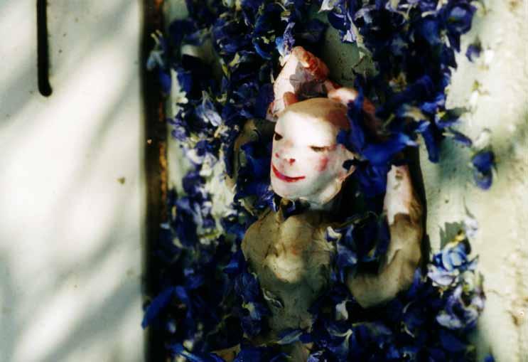 Am nächsten Morgen überraschte er sie, wie sie sich auf einem Teppich von blauen Blüten ausstreckte.