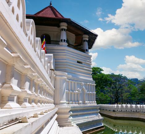 beobachten können. Auf der Weiterfahrt nach Kandy machen Sie Halt beim Gewürzgarten von Matale. Erleben Sie die verschiedenen Düfte der Gewürze.