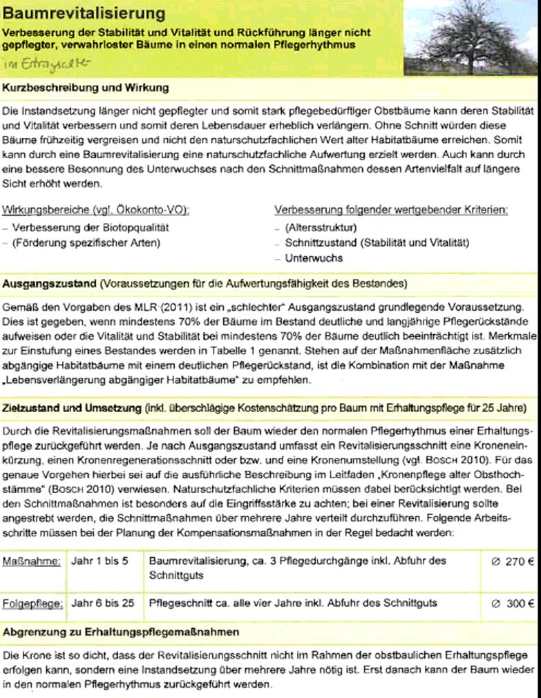 Streuobstkonzept Pliezhausen 30