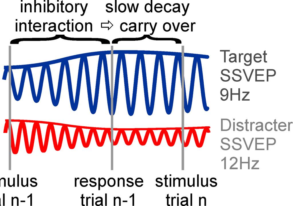 2 2 7 2 2 Frequency Tagging & Steady-State Visual Evoked Potentials (SSVEPs) Visual stimulation at a
