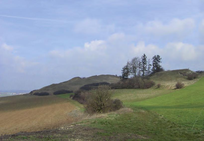 Abbildung 5: Viele Magerrasen, wie die Wössinger Heideberge im FFH-Gebiet 7128-341 Westlicher Riesrand, grenzen unmittelbar an Ackerlagen an.