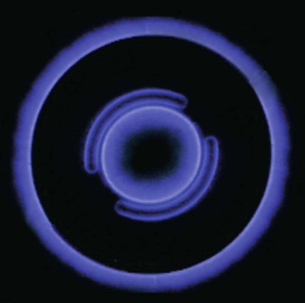 IAB Institut fü r angewandte Bioenergetik Kirlian Videographie Sichtbarmachung der Energien- oder Informationen des WELLAN 2000