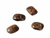 dunkelbraun / Wooden screw catch dark brown, oval / Fermoir à vis en bois brun foncé, ov.