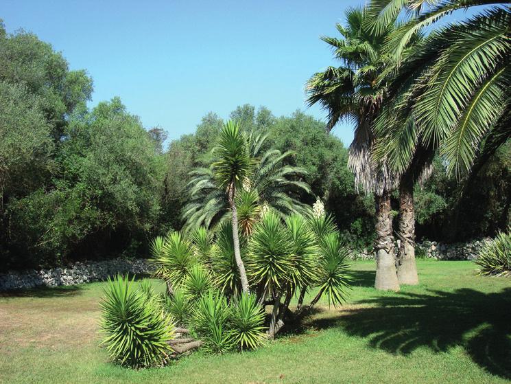Eingebettet in eine schöne und gepflegte Park- und Gartenlandschaft mit vielen Palmen, Obstbäumen und Blumen sowie mehreren Rasenflächen liegt das Haupthaus aus dem 18. Jahrhundert.