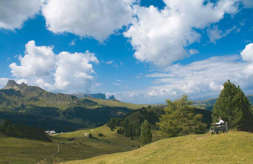 Südtirol, Trentino & Dolomiten 86 Blick
