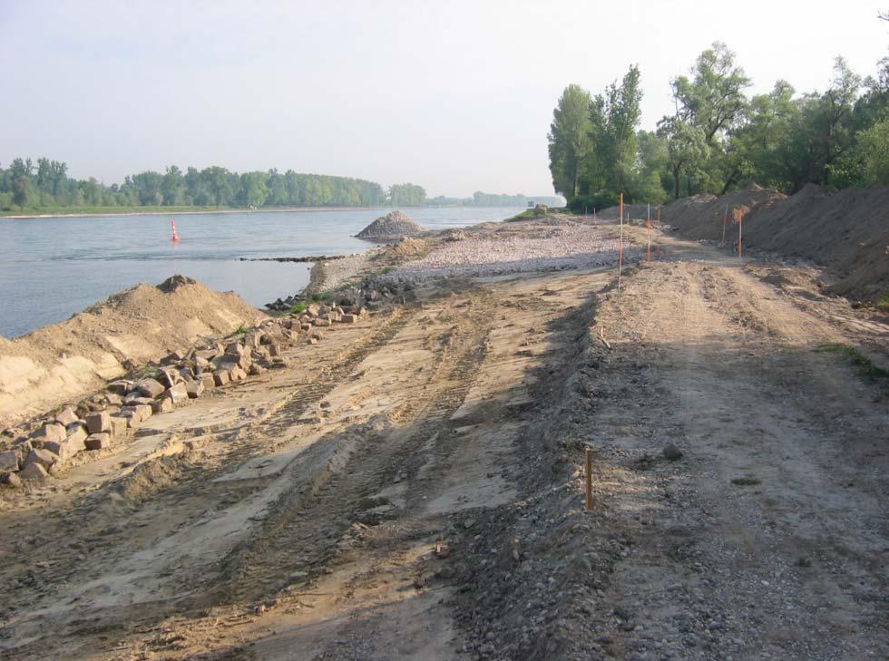 Fallbeispiel OR1 Naturnahe Uferumgestaltung bei Rastatt-Plittersdorf tem Ufer sowie zur Sicherung des um 7 m nach Osten verlegten, neuen Leinpfads wieder eingebaut.