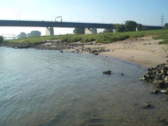 Das Rheinufer im Projektgebiet lässt sich in zwei Abschnitte gliedern. Im oberstromigen Abschnitt ist das Ufer mit Hochofenschlacke naturfern ausgebaut.