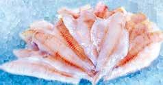Binnenfischerei / Russland Thunfischmedaillons 150 g