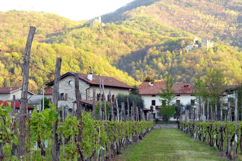 Colli Orientali del Friuli Dieses Weinbaugebiet der Region Friaul-Julisch Venetien grenzt an Slowenien.