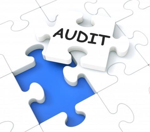 Internal Audit Services AUFBAU EINER INTERNEN