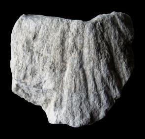 Dieser Strahlenkalk besteht aus scharfkantigem Oberjura-Kalkgestein und wiegt etwa 200 Gramm. Drei weitere Gesteinsbrocken (Abb.
