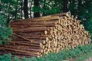 Der natürliche Baustoff Holz in seiner reinsten Form! Reine Natur: Unsere Vollholzmauern und -decken haben heimische Bäume zum Vorbild. Sie sind massiv, benötigen keine Chemie oder Leim.