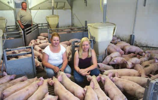 Tiergesundheit Im Betrieb Serby müssen heute kaum noch Mastschweine wegen Atemwegsproblemen behandelt werden.