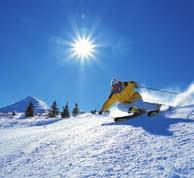 Umgeben von der einzigartigen Schweizer Alpenlandschaft direkt vor der Haustür werden Winterträume wahr. Die Skilifte ziehen Sie vom Tal (1560 m) bis auf 3600 m hinauf.