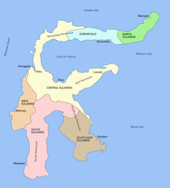 Borneo Handel einer Art Nord-Sulawesi Neuguinea