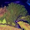 Waldbrand-Monitoring Geologie und Bodenkunde: geomorphologische Formen Gewässernetz