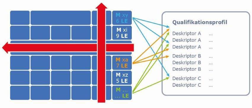 3. Quantitative Bedeutung eines Moduls Bei der quantitativen Bedeutung der Module des Studienganges