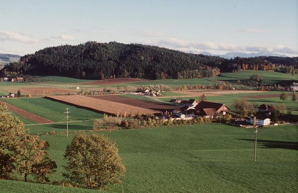 Anbausystemversuch Burgrain in Alberswil, Nähe Willisau LU; seit 1991 Betrieb Milchviehhaltung (Weidebetrieb), Schweinezucht und Pouletmast; Ackerbau mit Getreidesaatgutproduktion Landwirtschaftliche