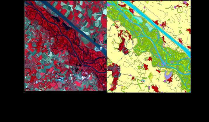 3D-Höhen Fluss-Uferzonen (Biodiversität)