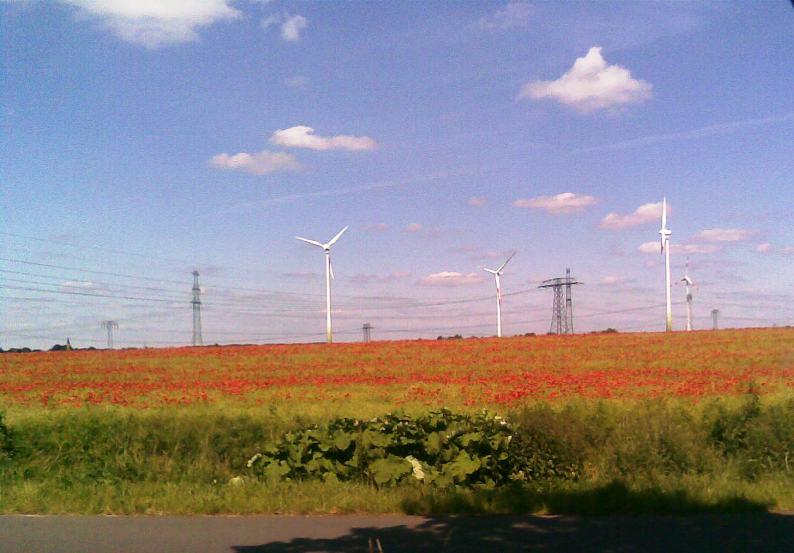 19. Windenergietage Die Landesforstverwaltung als Vertragspartner bei der Vergabe von Landeswaldflächen