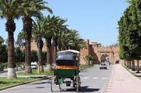 Taroudant Taroudant ist eine Stadt im Süden Marokkos, 76 km von Agadir entfernt