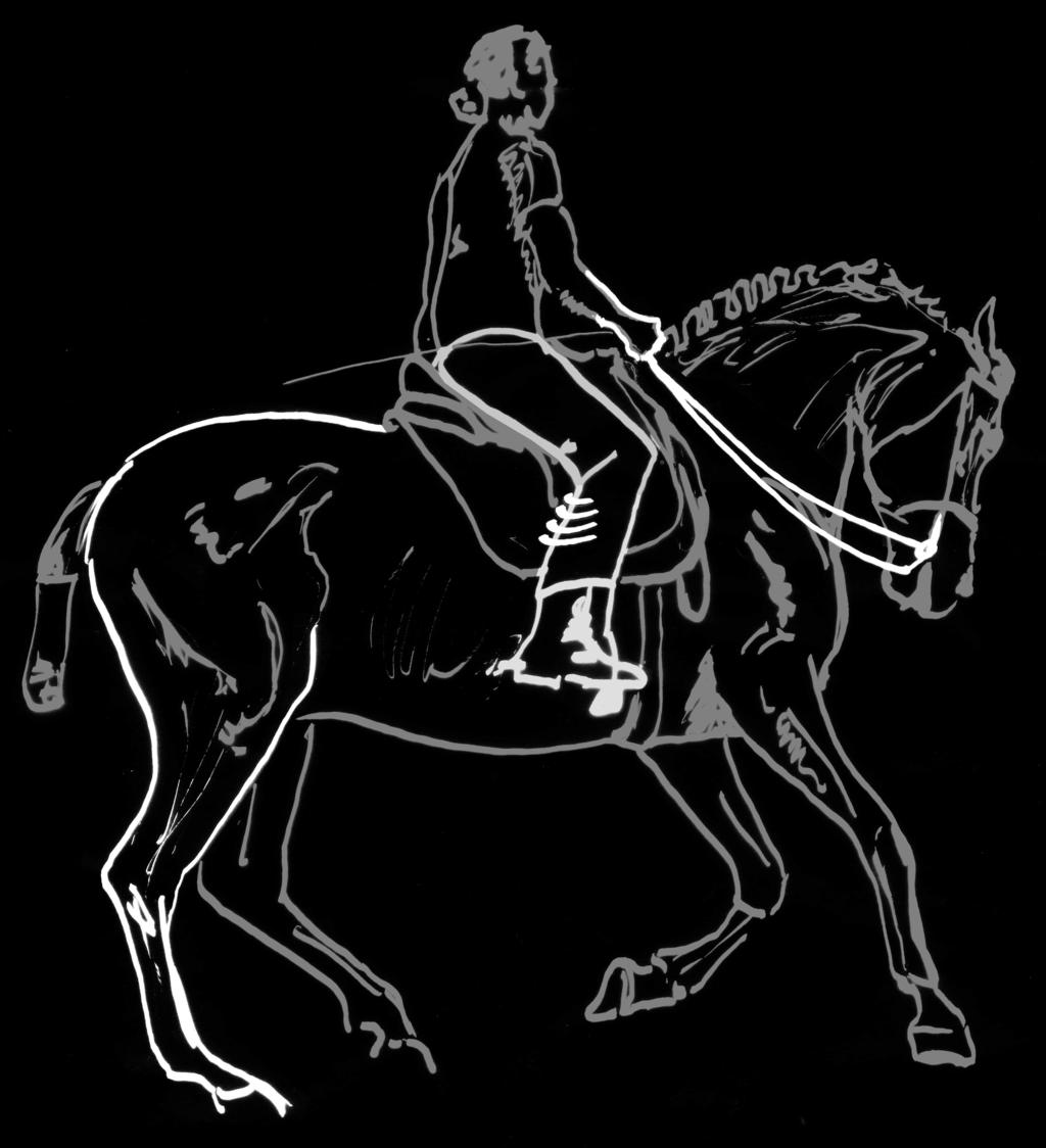 Grundlegende Arbeiten Pferdehüfte & Reiterhüfte im Galopp Die Bewegung des Galopps verlangt, dass die Reiterhüfte analog zur Pferdehüfte leicht schräg im Sattel sitzt.