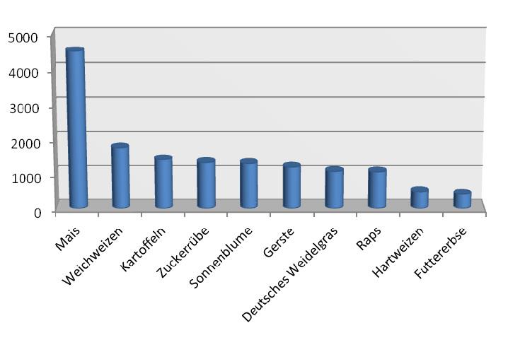 Empirische Analyse des europäischen Saatgutmarktes 1975-2011 181 Abbildung 28: Die zehn Pflanzenarten mit den meisten Sorten 2011 in der Landwirtschaft gewonnen hat.