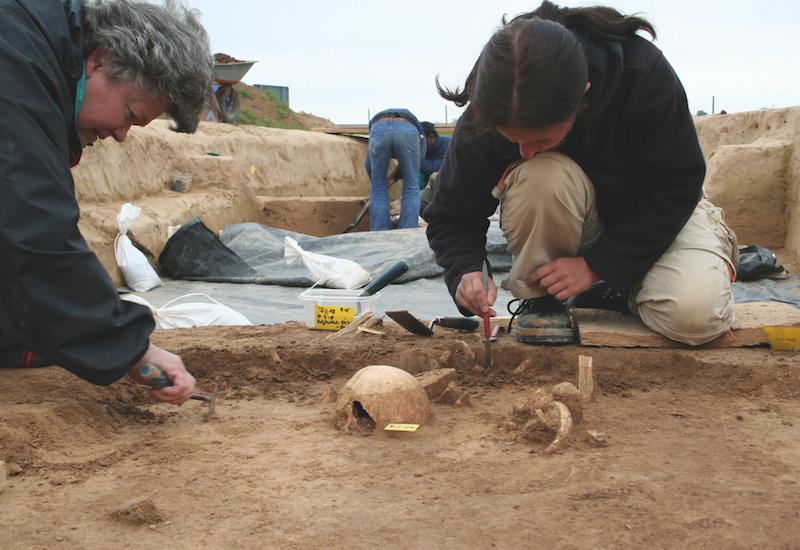 Die Fundsituation Auf diesem Foto kann man gut sehen, mit welchen Werkzeugen die Archäologen arbeiten: Kelle und Stukkateureisen.
