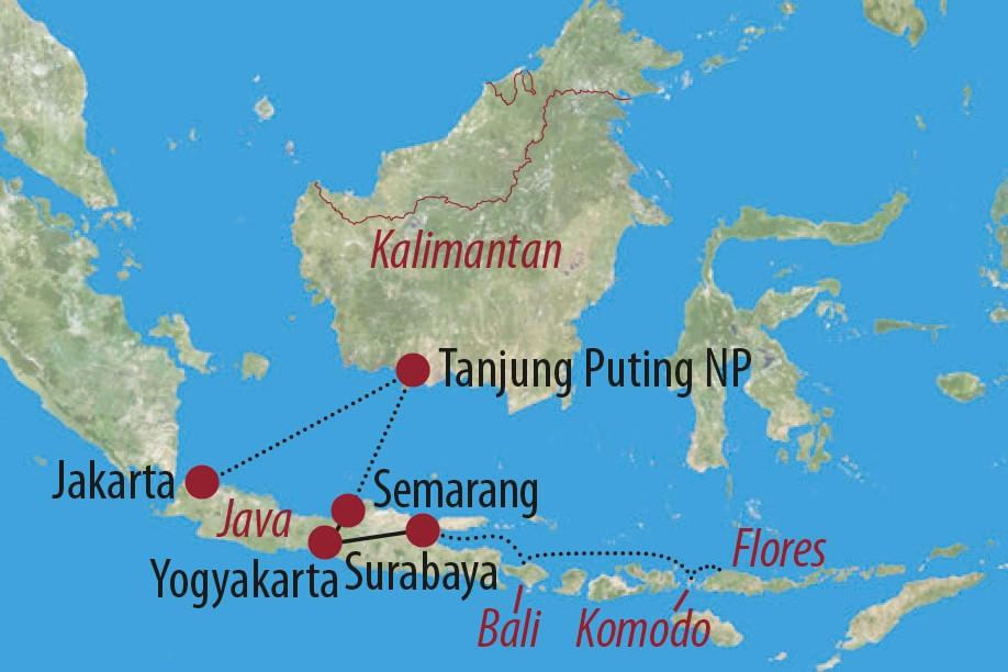 Herzstück der Reise sind intensive Begegnungen mit Orang-Utans auf Kalimantan (Borneo), sowie die Suche nach urzeitlichen Waranen auf den Inseln der Drachen im