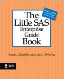 Abfragen SAS Enterprise Guide für erfahrene SAS