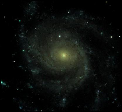) Quasare finden sich in Galaxienkernen und zeigen optische Leuchtkräfte