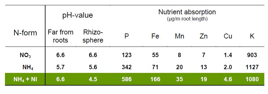 Spurenelementaufnahme