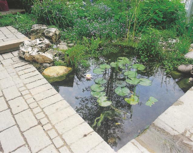 Die Lage eines Teiches im Garten 11 Für den in der Terrasse eingelassenen Teich bieten sich runde oder eckige, geo metrische Formen.