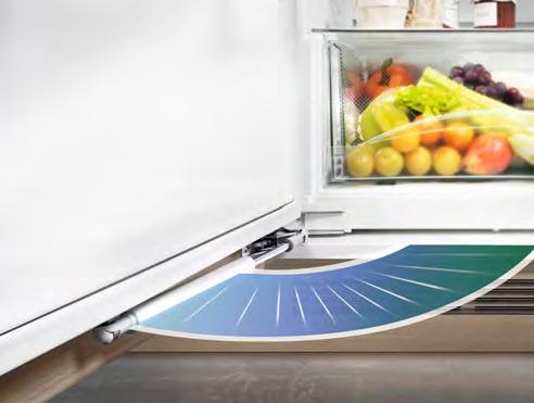 Premium-Geräte ab der 1-cm-Nische verfügen über ein großes, voll transparentes Obst- und Gemüse fach auf