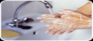 Personalhygiene Hohes Maß an persönlicher Sauberkeit Geeignete und saubere Arbeitskleidung Kopfbedeckung PERSONAL- HYGIENE Konsequentes Händewaschen und