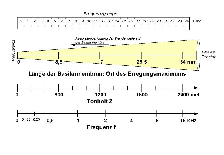 Kritische Bandbreite / Frequenzgruppen Menschliche Gehör teilt Frequenzspektrum von 20 Hz bis 20 khz in Frequenzgruppen