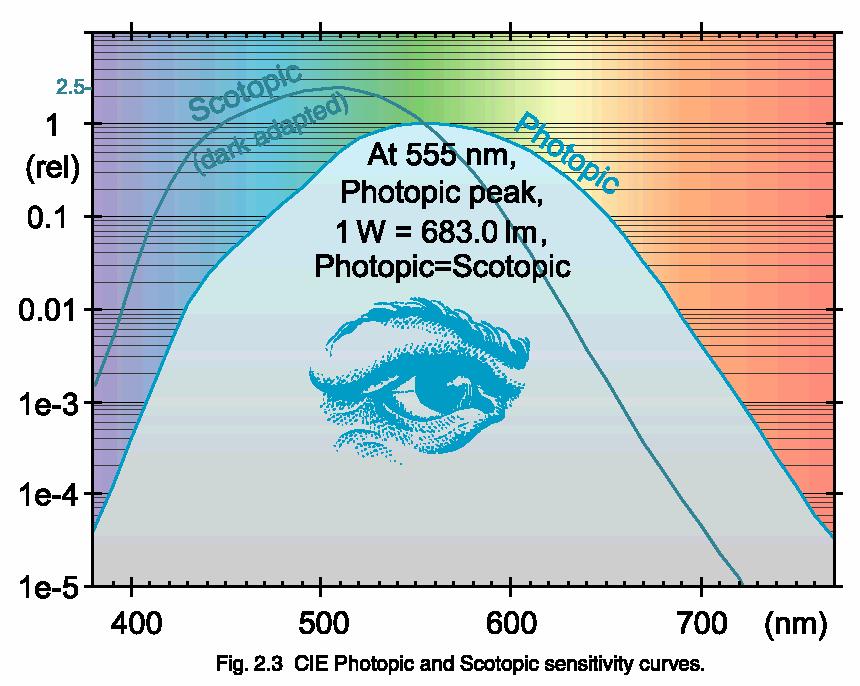 Empfindlichkeit des menschlichen Auges 1 Watt=683 lm Unterschiede zwischen helladaptiertem und