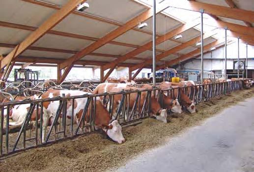 LKV BadenWürttemberg Gesundheitsmonitoring Rind BadenWürttemberg GMON Rind verlässt Projektphase und geht in den Routinebetrieb über Aktueller Stand Ende des Jahres 2012 sind knapp 800