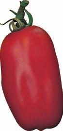 TOMATE (SOLANUM LYCOPERSICUM) SORTENBESCHREIBUNG MINITOMATE SAN MARZANO RAVELLO Eine resistente Profisorte mit ca. 25 g schweren, uniformen Früchten von tiefroter Farbe.