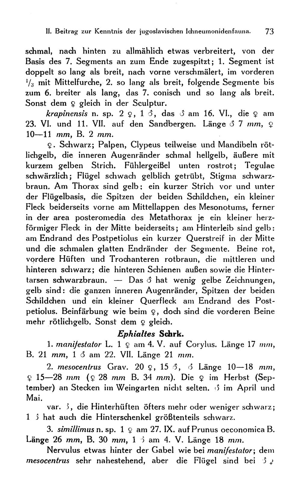 II. Beitrag zur Kenntnis der jugoslavischen Ichneumonidenfauna. 73 schmal, nach hinten zu allmählich etwas verbreitert, von der Basis des 7. Segments an zum Ende zugespitzt; 1.