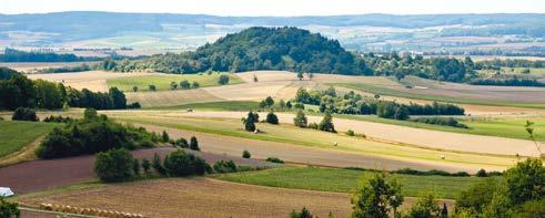 Die dem Haßbergtrauf vorgelagerte Anhöhe wird von der Bevölkerung auch Ölberg oder Wolfshügel genannt.