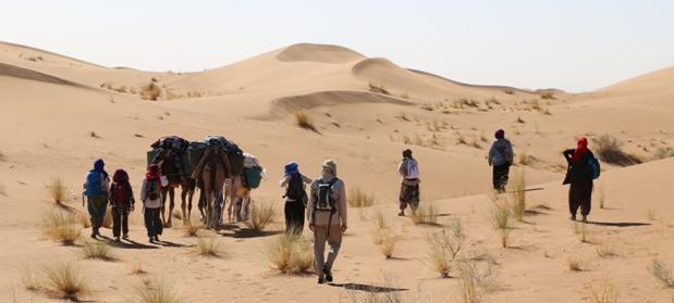 Auf dem Rückweg mäandern wir einen Tag aus Chgaga heraus und kommen in ein Gebiet mit flachen Sanddünen, wo unser Wüstentrek am Dienstagabend der zweiten Woche endet.