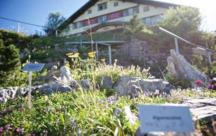 BLÜHENDE AUSSICHTEN Erleben Sie die Pracht der reichen Alpenflora im Alpengarten beim Berggasthaus Ebenalp. Ein grosser Teil der in der Schweiz bekannten Alpenblumen können hier bestaunt werden.