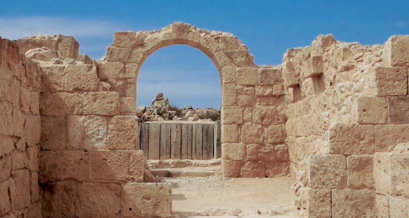 Ihr direkter Draht: 0711/619 25-42 Wadi Avdat 8. Tag: Wüstenerfahrung Dieser Tag führt uns in den Negev, dessen Wüsten einst die Patriarchen durchstreiften.