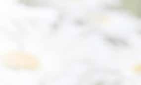 GRUPPEN UND KREISE Minikindergarten»Die kleinen Strolche«Dienstag + Donnerstag, 9.00 12.00 Uhr, Gemeindehaus Bermbach Sabine Sonnet, Tel.: 95 15 01 Spielkreis für Kinder Montag, 9.00 10.