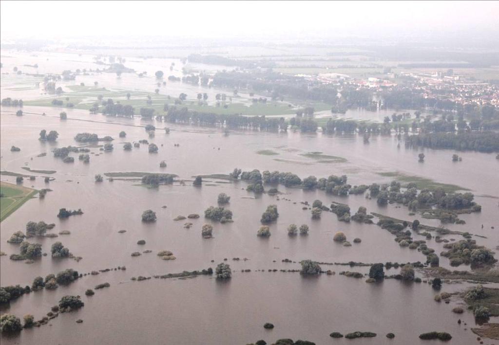 Vielen Dank für Ihr Interesse! Kontakt: hwrm.rs@lugv.brandenburg.de HWRM-Planung in Brandenburg: http://www.mlul.brandenburg.de/info/hochwasserrisikomanagement Elstermündung Okt.