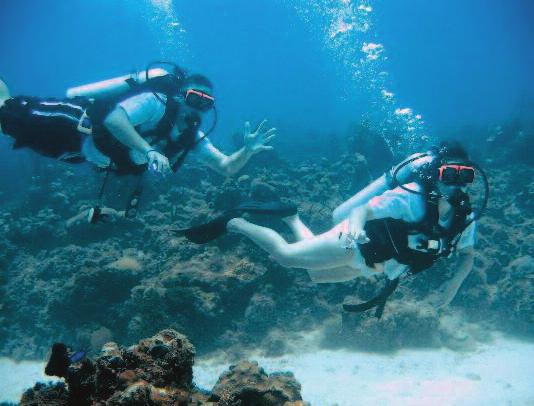 Das Riff bietet eine Abenteuer verheißende Unterwasserlandschaft mit Schluchten, Höhlen und Tunneln, in denen viele Korallen wachsen. Außerdem kann man am Airport Reef ein Flugzeugwrack bestaunen.